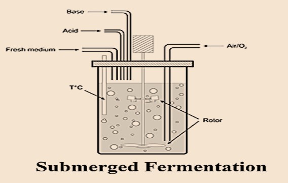 submerged fermentation method