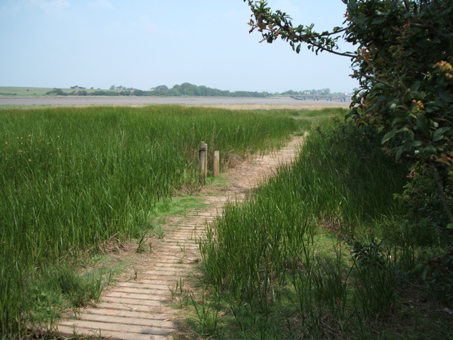 View back to Shard Bridge along the Wyre Way - geograph.org.uk - 483937