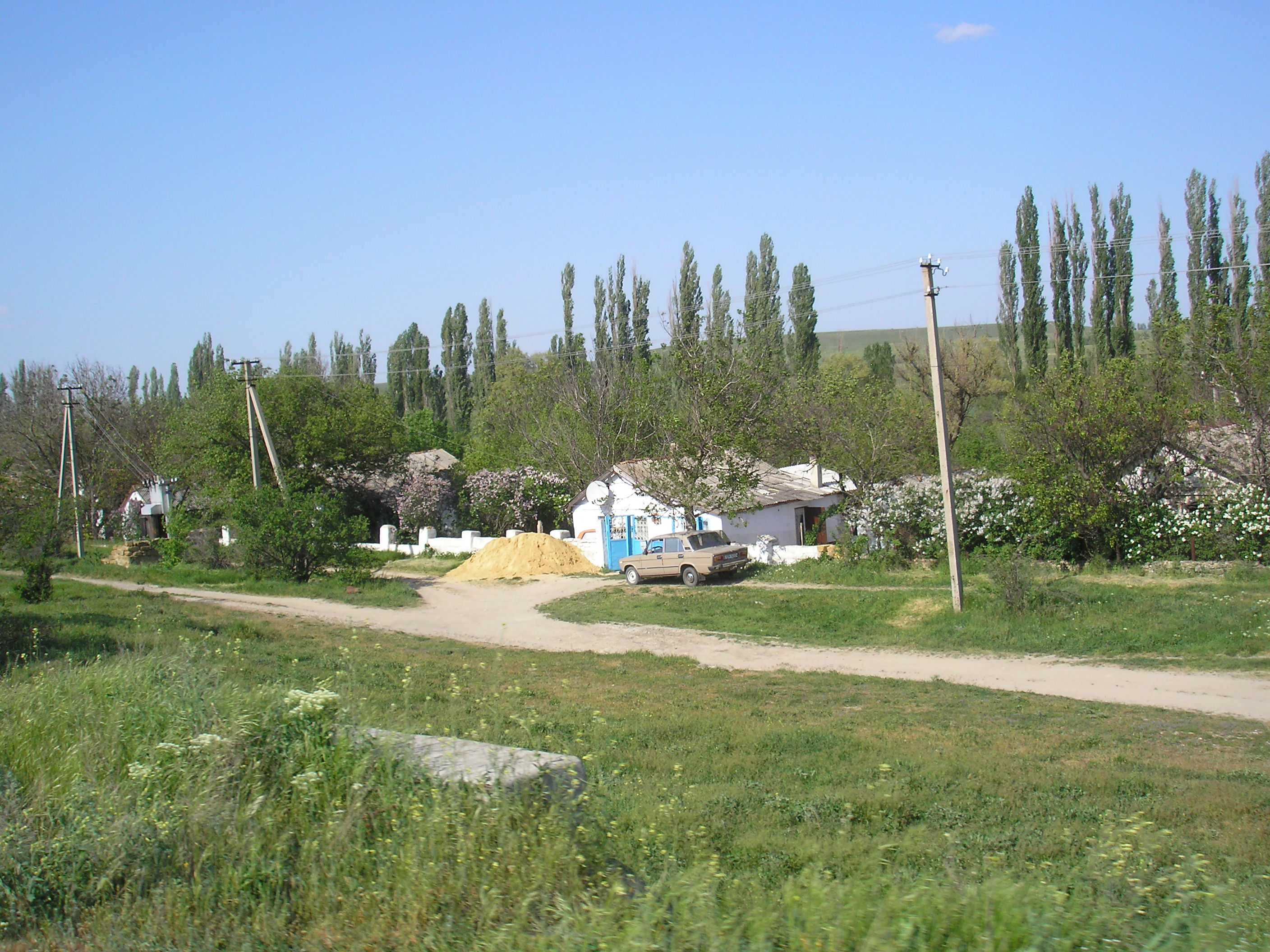 Саки владимировка