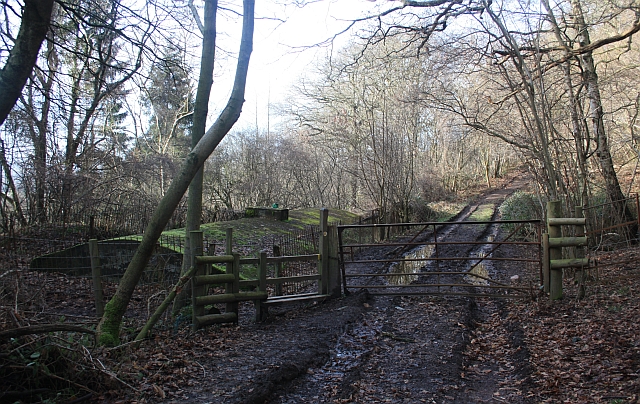 File:Walm's Well - geograph.org.uk - 1134098.jpg