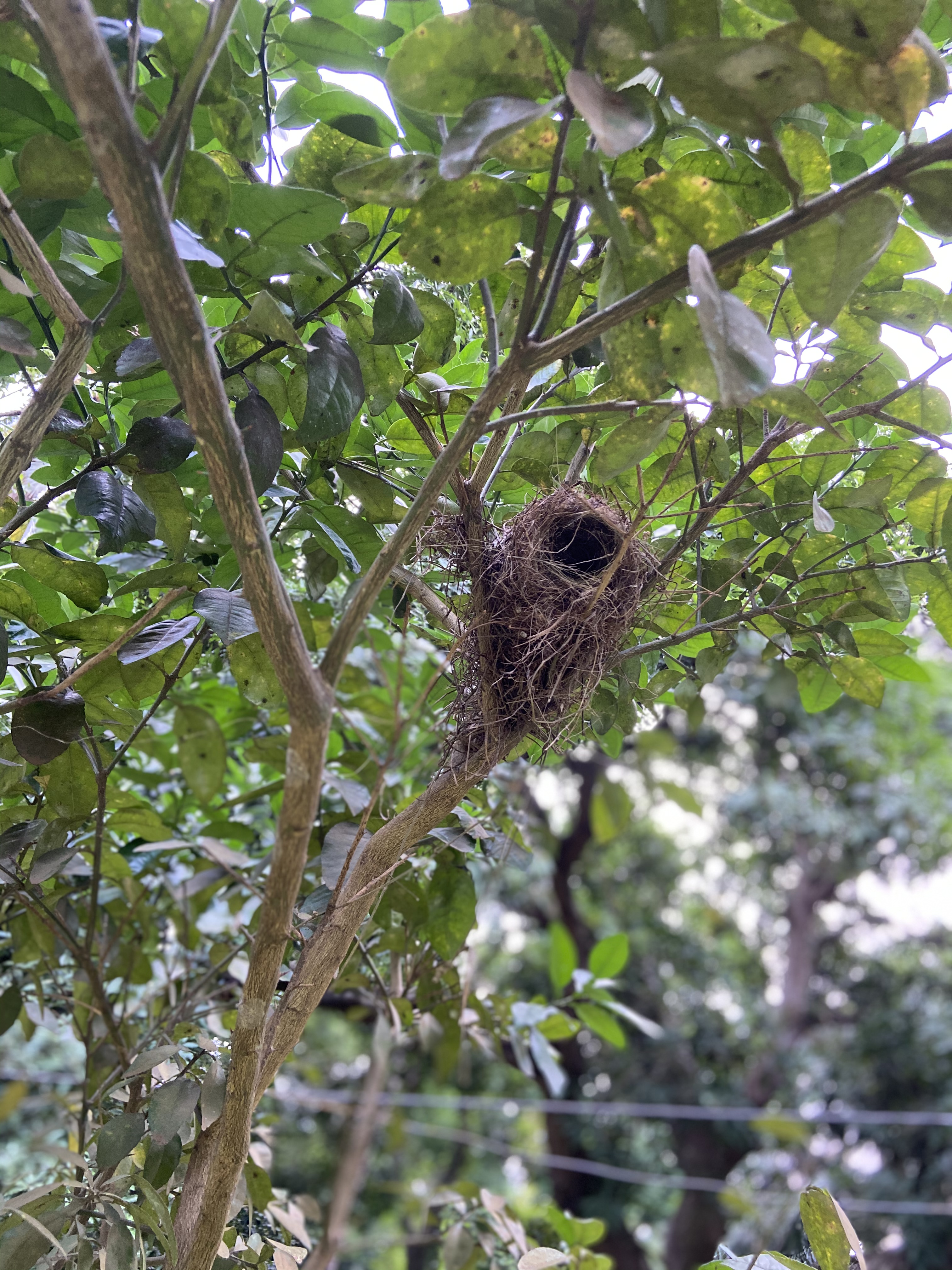 Seasonal bird habitats