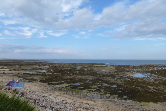 File:Beadnell Haven - geograph.org.uk - 3602506.jpg