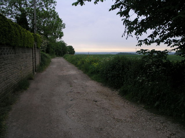 File:Bridleway to Woodsetts - geograph.org.uk - 183055.jpg