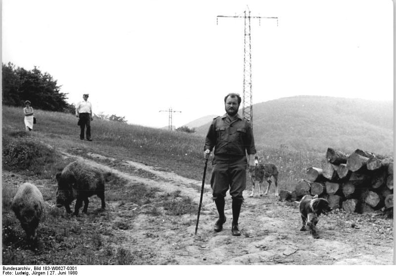 File:Bundesarchiv Bild 183-W0627-0301, Winterstein, Förster mit zahmen Wildtieren.jpg