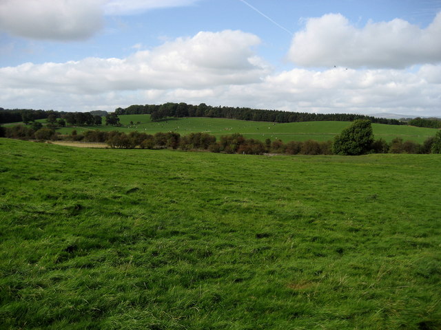 File:Countryside between Carleton and Broughton - geograph.org.uk - 1518775.jpg