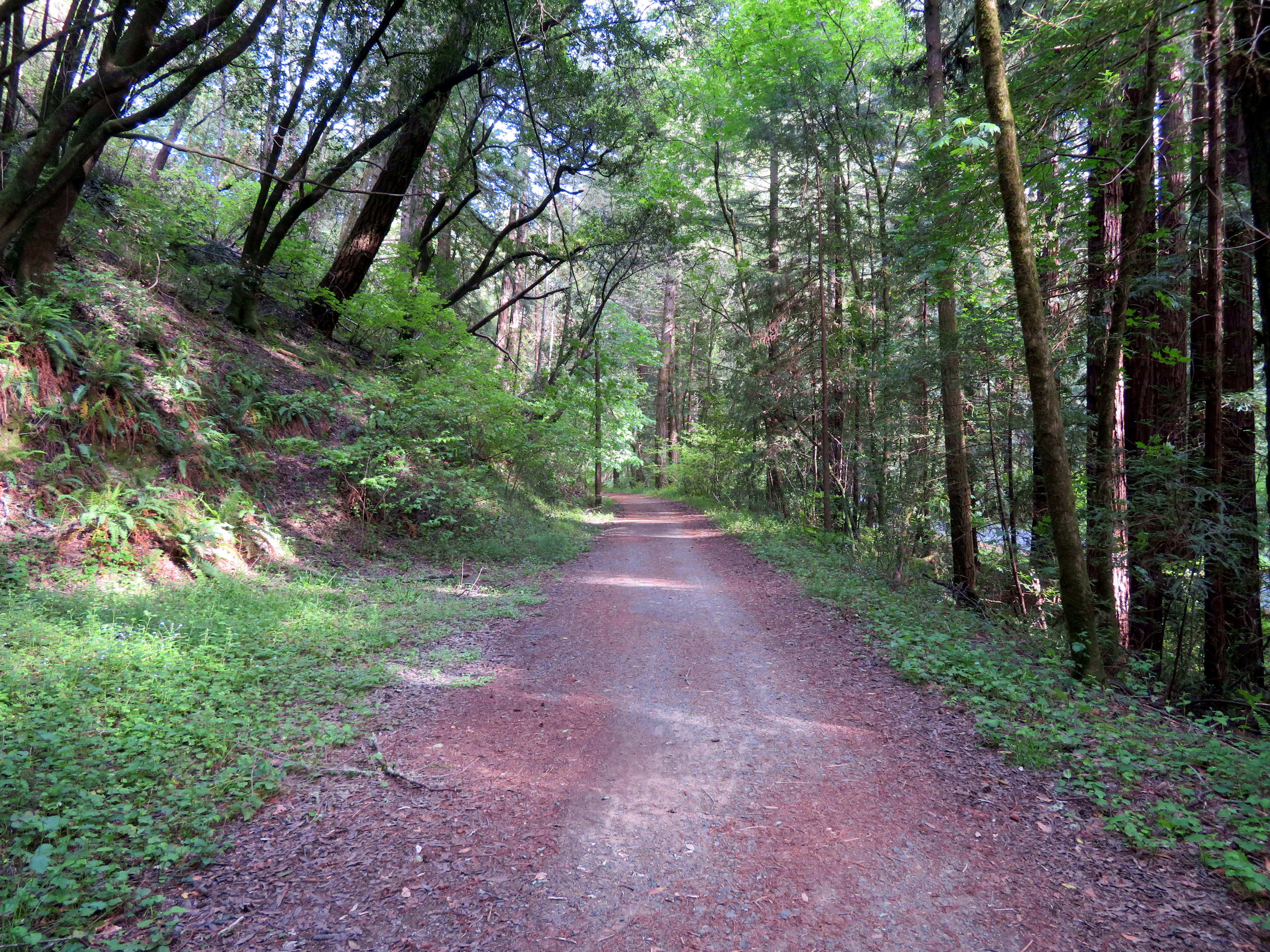 cross marin trail