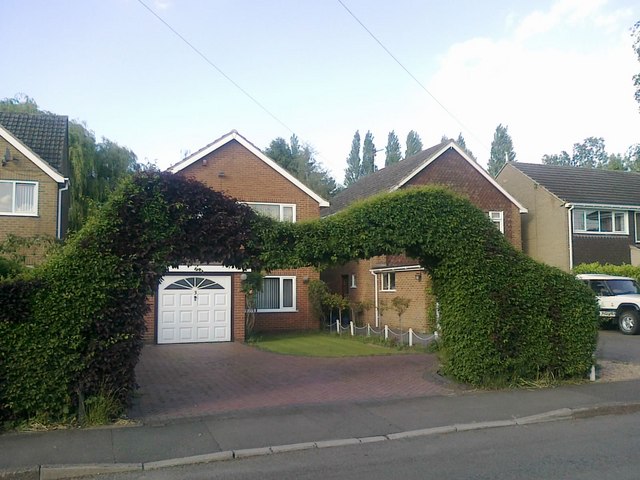 File:Dramatic topiary on Cole Lane - geograph.org.uk - 1919184.jpg