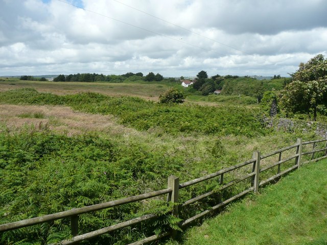 File:Farmland, Caldey Island (Ynys Bŷr) - geograph.org.uk - 958195.jpg