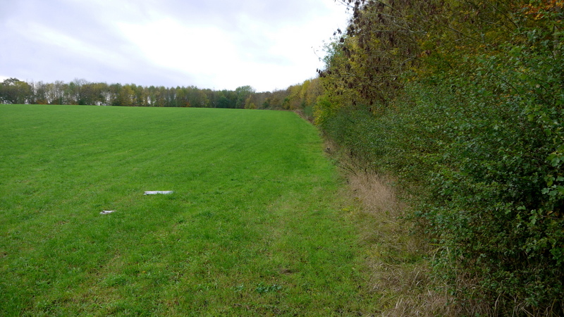 File:Fields and hillock - geograph.org.uk - 502827.jpg - Wikipedia