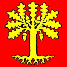 File:Flag of Roveredo.gif