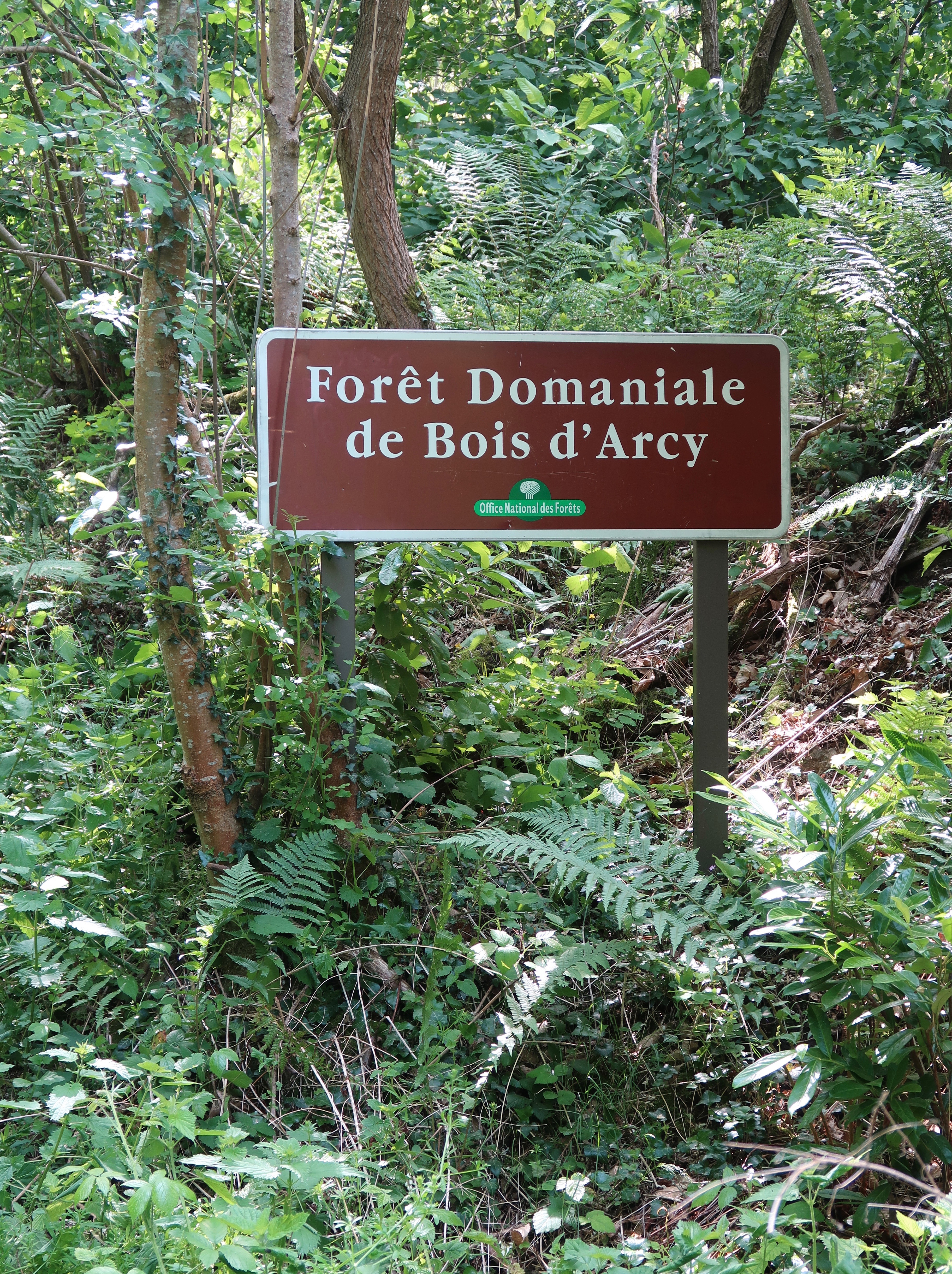 Forest names