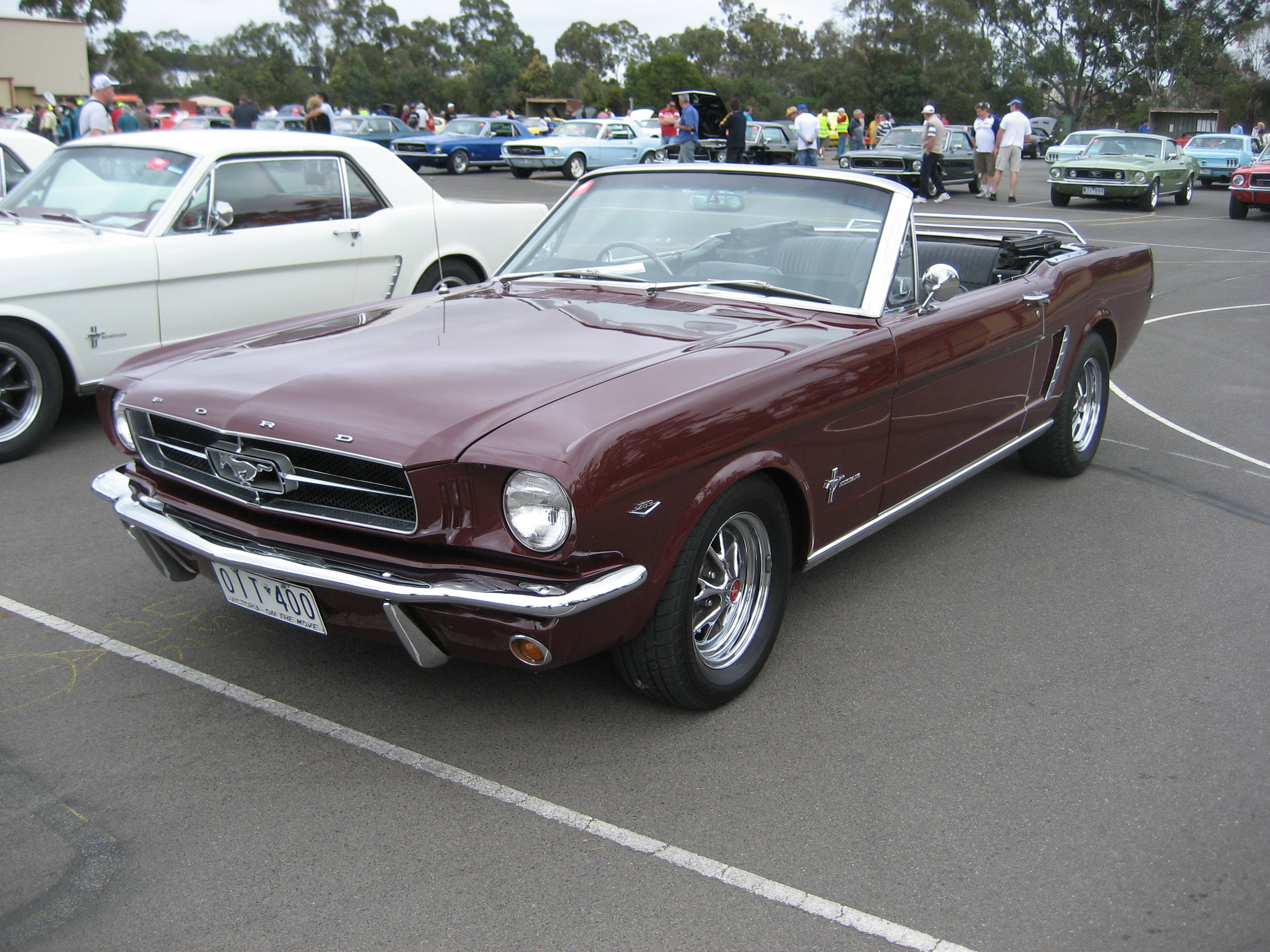 1964 Mustang Wiki