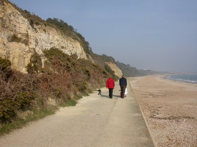 File:Friar's Cliff, cliffs - geograph.org.uk - 1210129.jpg