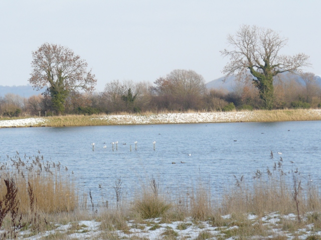 File:Gravel pits by Pasture Lane - geograph.org.uk - 1158356.jpg