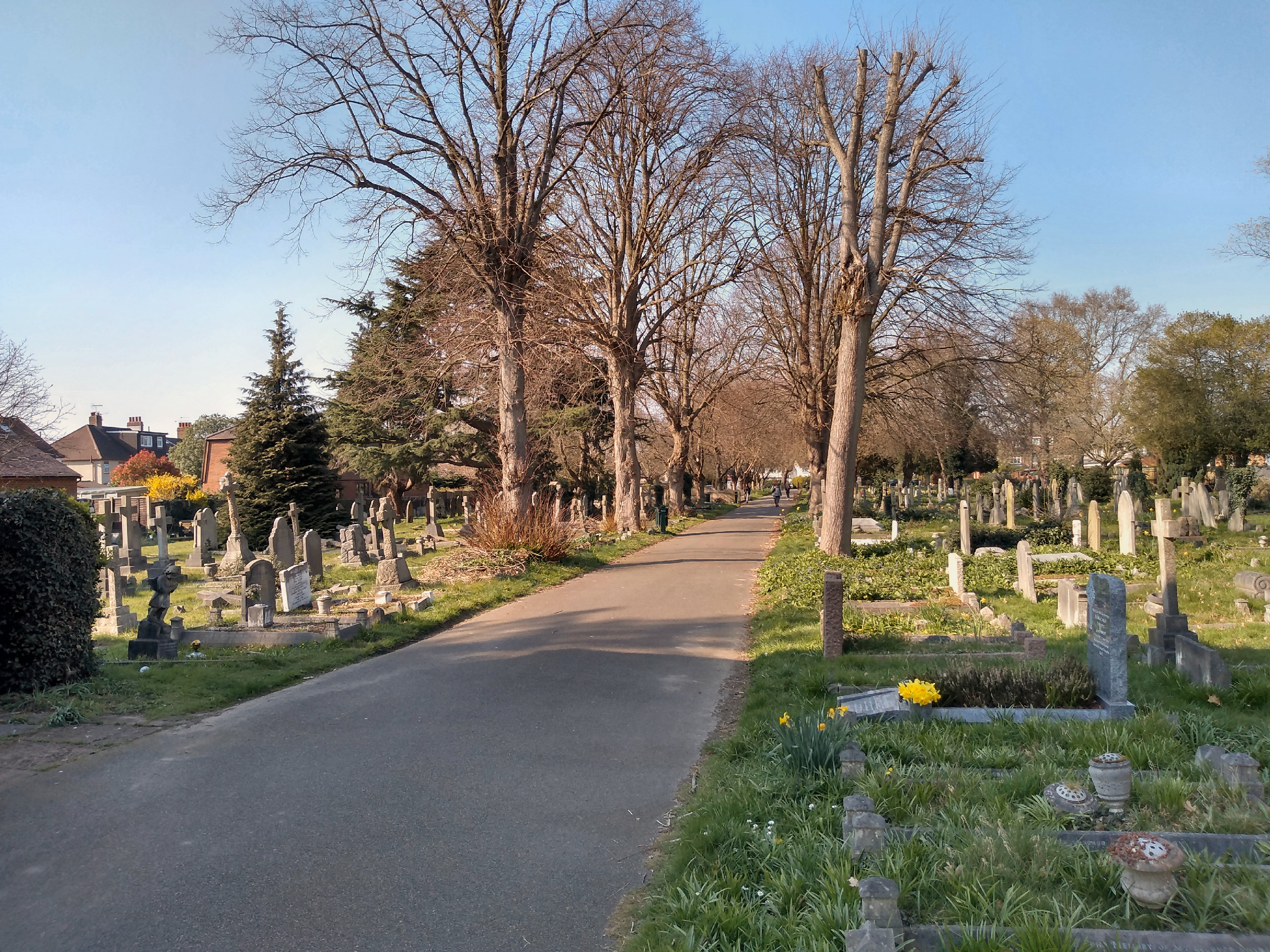 Парк кладбище Англия