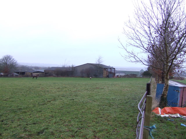 File:Horse pasture by Manor Farm - geograph.org.uk - 309101.jpg