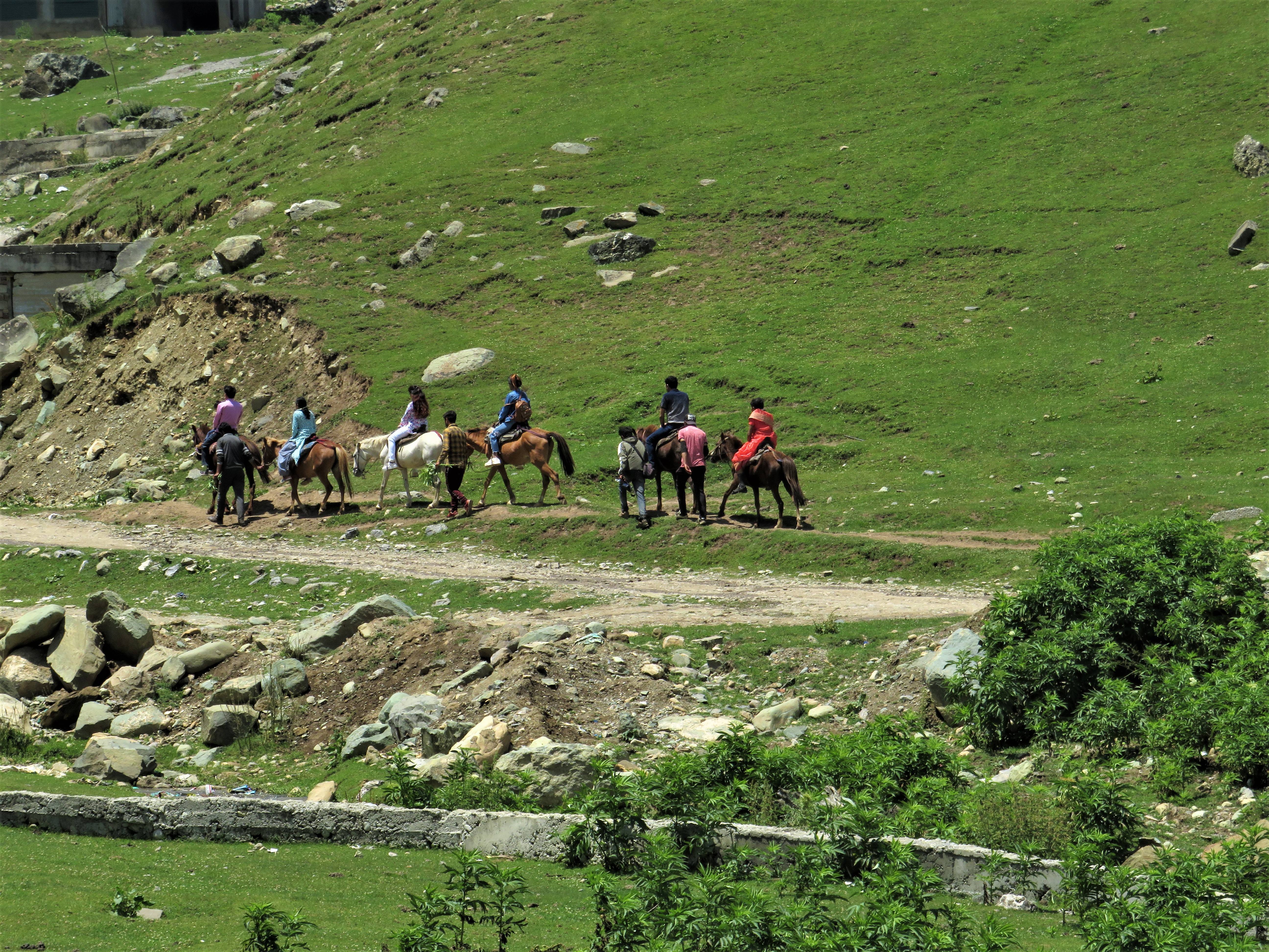 Horse riders in Sonamarg