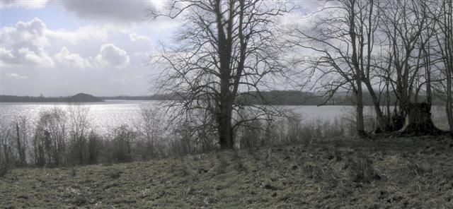 File:Inish Dacharne, Lough Erne - geograph.org.uk - 365533.jpg