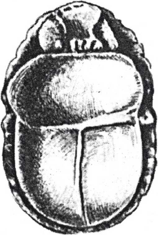 Lemann Рис. 29. Каменный жук-скарабей.jpg