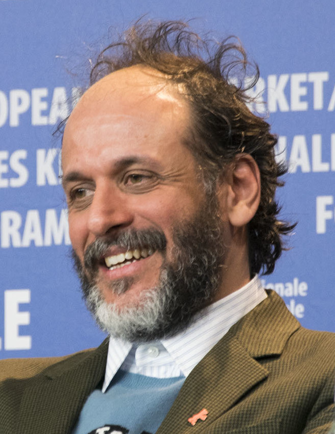 luca guadagnino