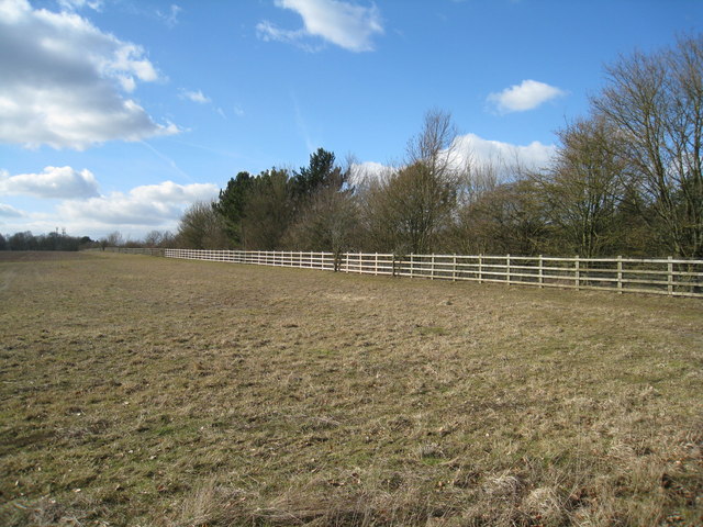 File:Neat fence boundary - geograph.org.uk - 1739975.jpg