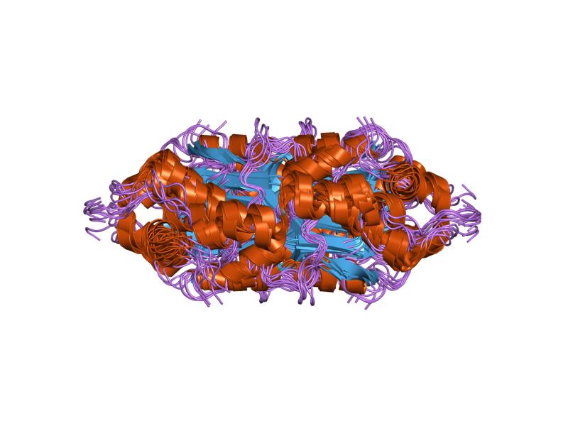 File:PDB 1z1d EBI.jpg