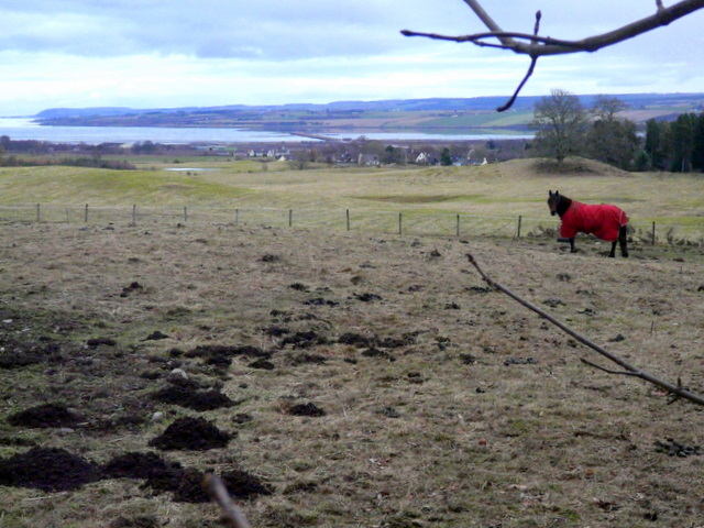 File:Paddock at Ballavoulin - geograph.org.uk - 1703674.jpg