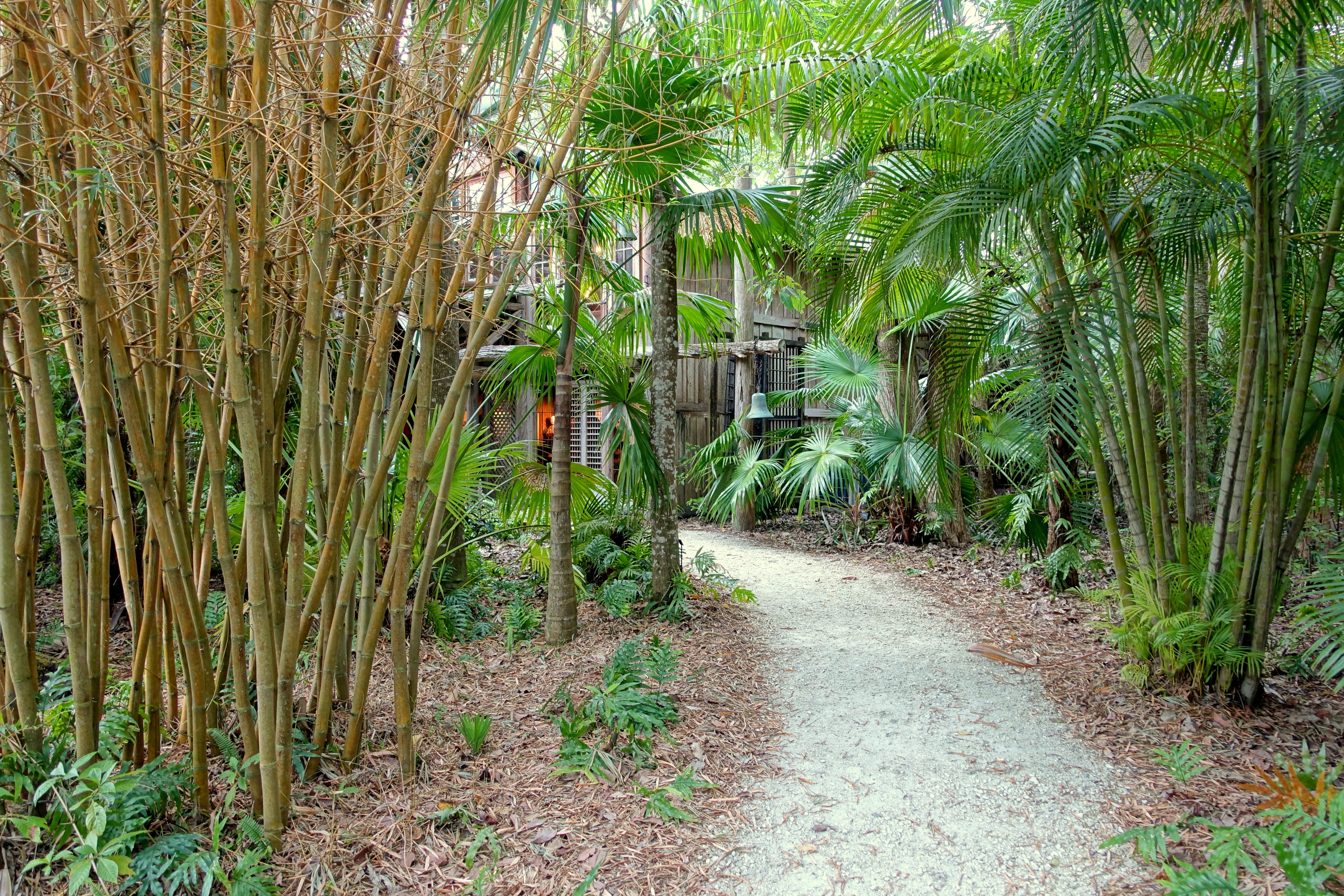 File Pathway Mckee Botanical Garden Vero Beach Florida