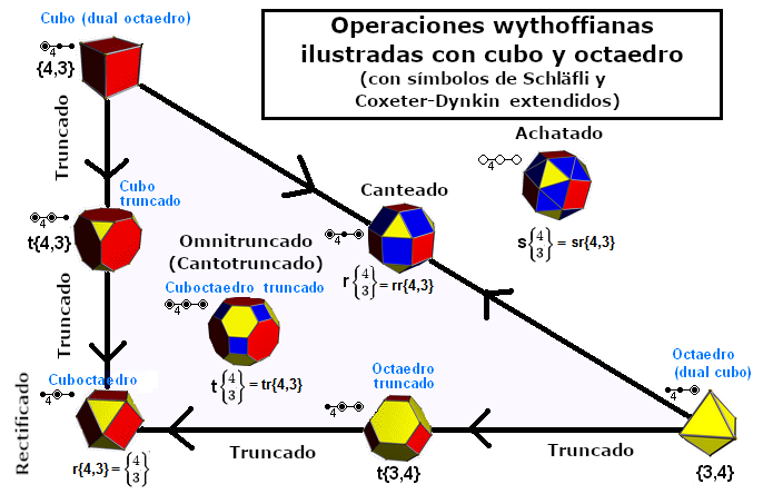 File:Polyhedron truncation example3 es.png