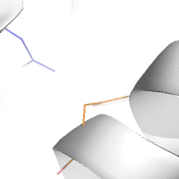 ProteinDesignSearch.gif