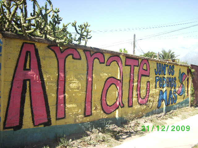 File:Rayado Arrate 2009.JPG