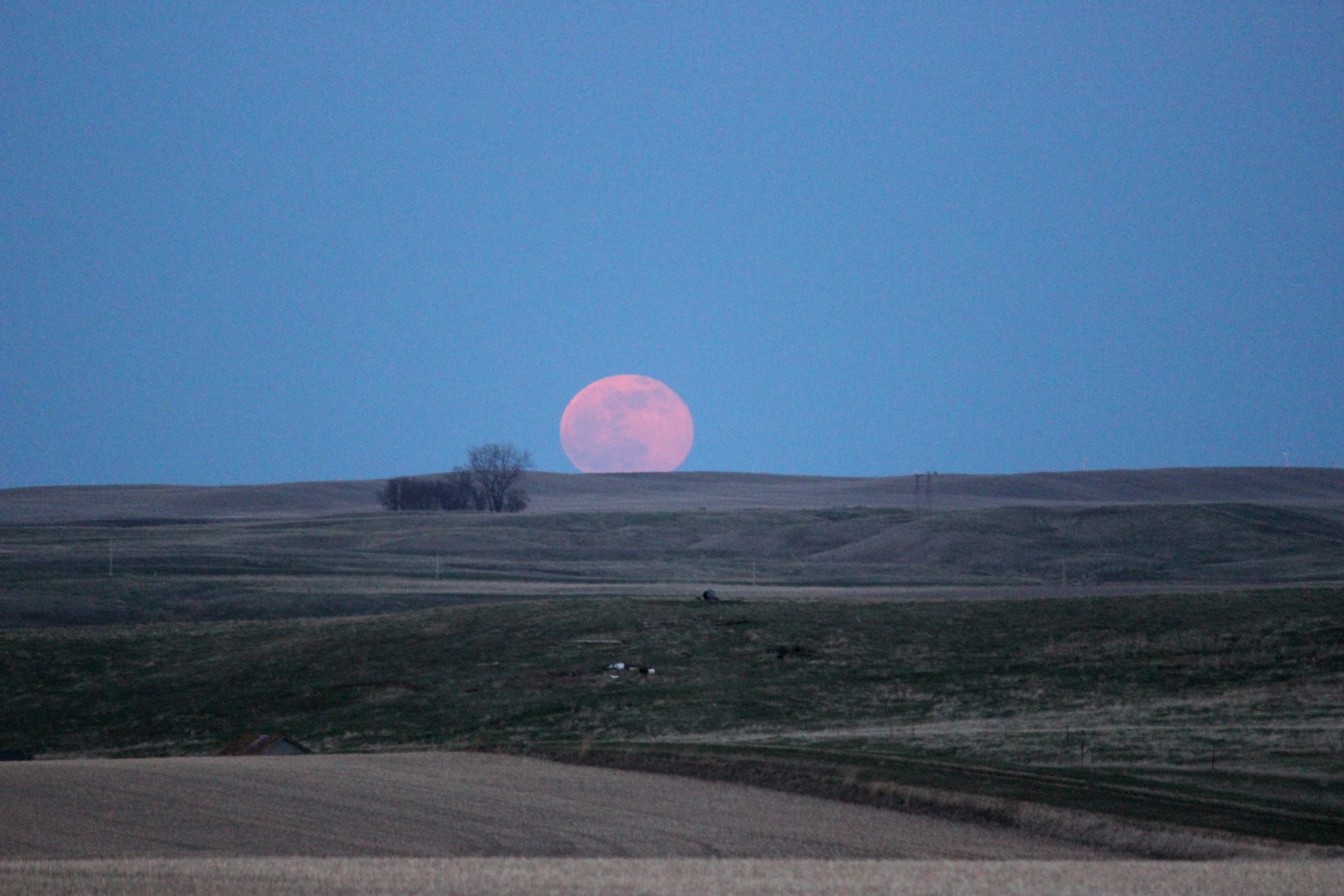 Aktuator kalv type File:Red Moon Rising (14443344504).jpg - Wikimedia Commons