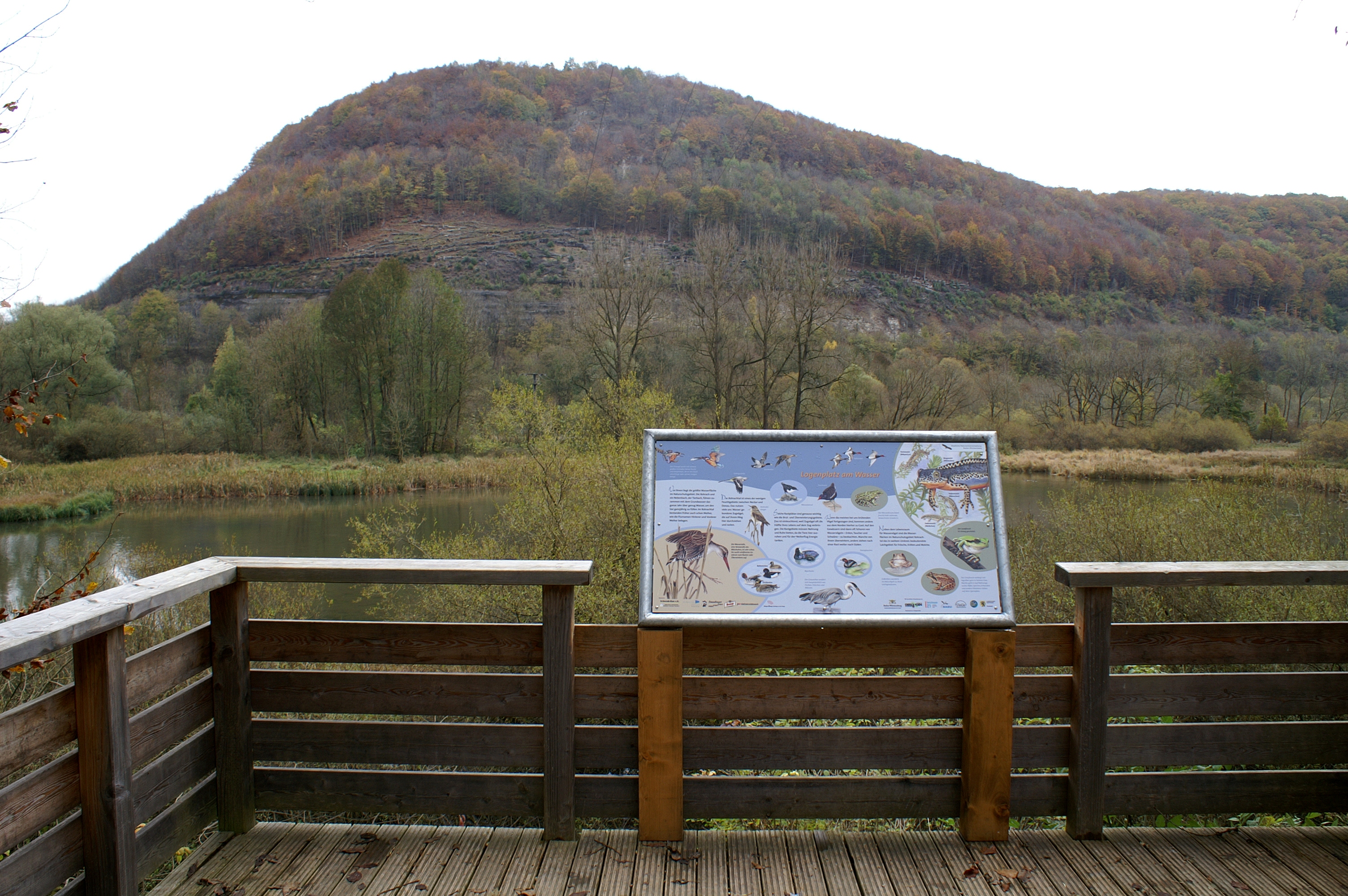 Naturlehrpfad im Naturschutzgebiet Rohrachtal bei Geislingen an der Steige