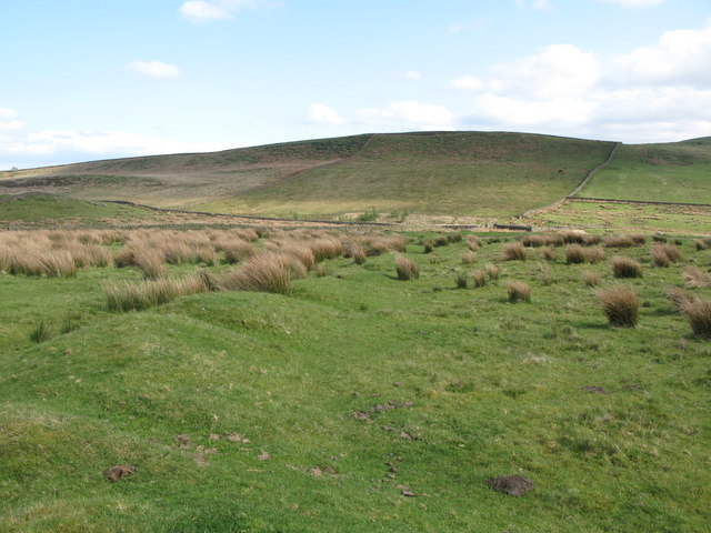 File:Roman Camp south of Greenlee Lough - northeast boundary - geograph.org.uk - 1442687.jpg