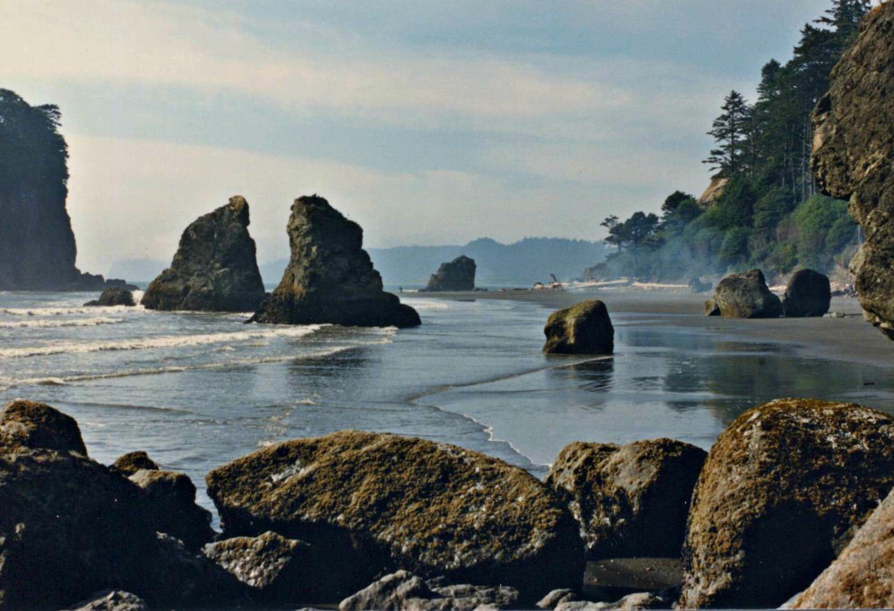 Located on the coast of the cold. Olympic National Park.