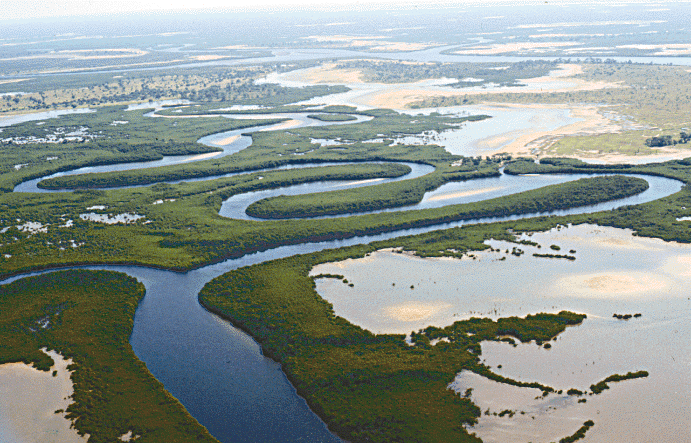 [Saloum River, Senegal]