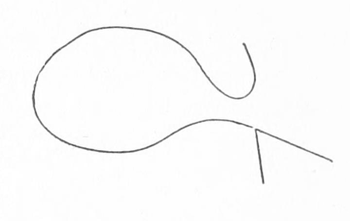 File:Squigle of Audubon pen.jpg