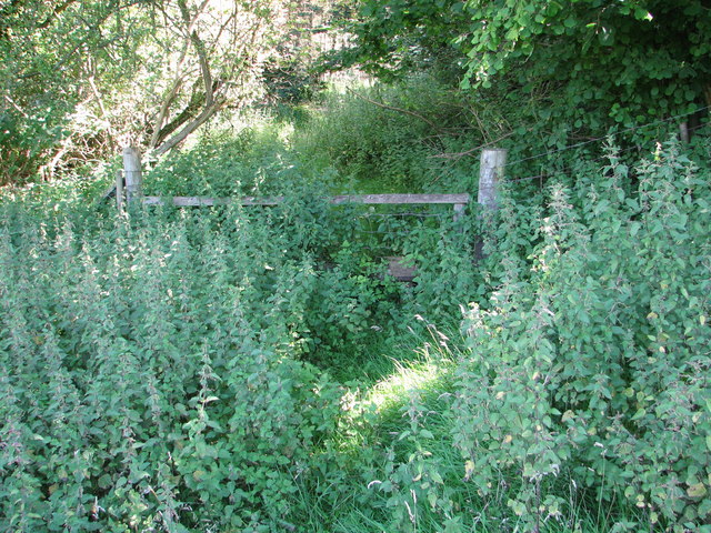 File:St Briavels - stile into the wood at Slade Bottom - geograph.org.uk - 520326.jpg