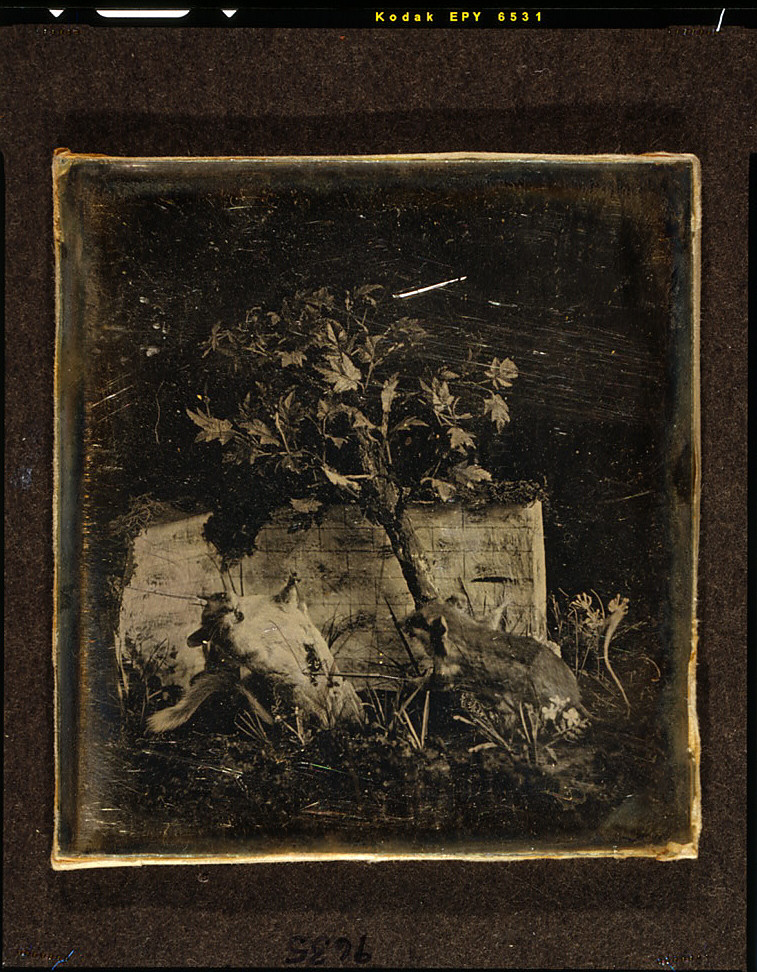 Daguerreotype - Wikipedia