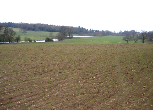 File:Stonehill Field, Old Warden, Beds - geograph.org.uk - 50539.jpg