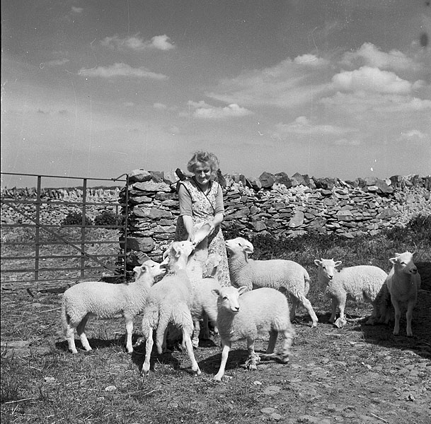 File:Sydna Pritchard, who worked for over forty years on one farm, Parc, Bryngwran (6835515741).jpg