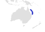 Tropik Sawshark Range.png