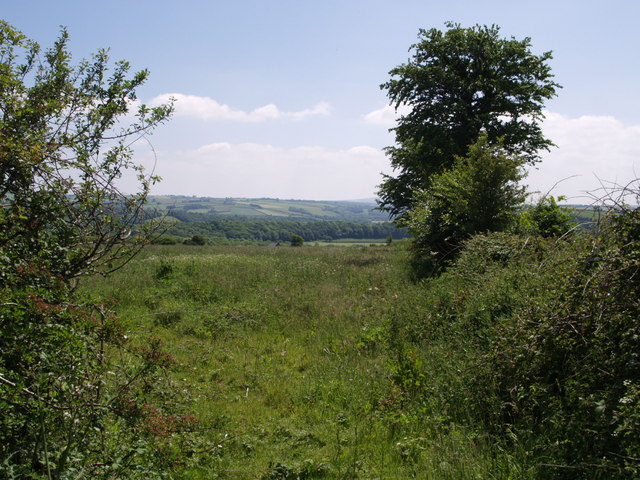 File:View near Liftondown - geograph.org.uk - 459119.jpg