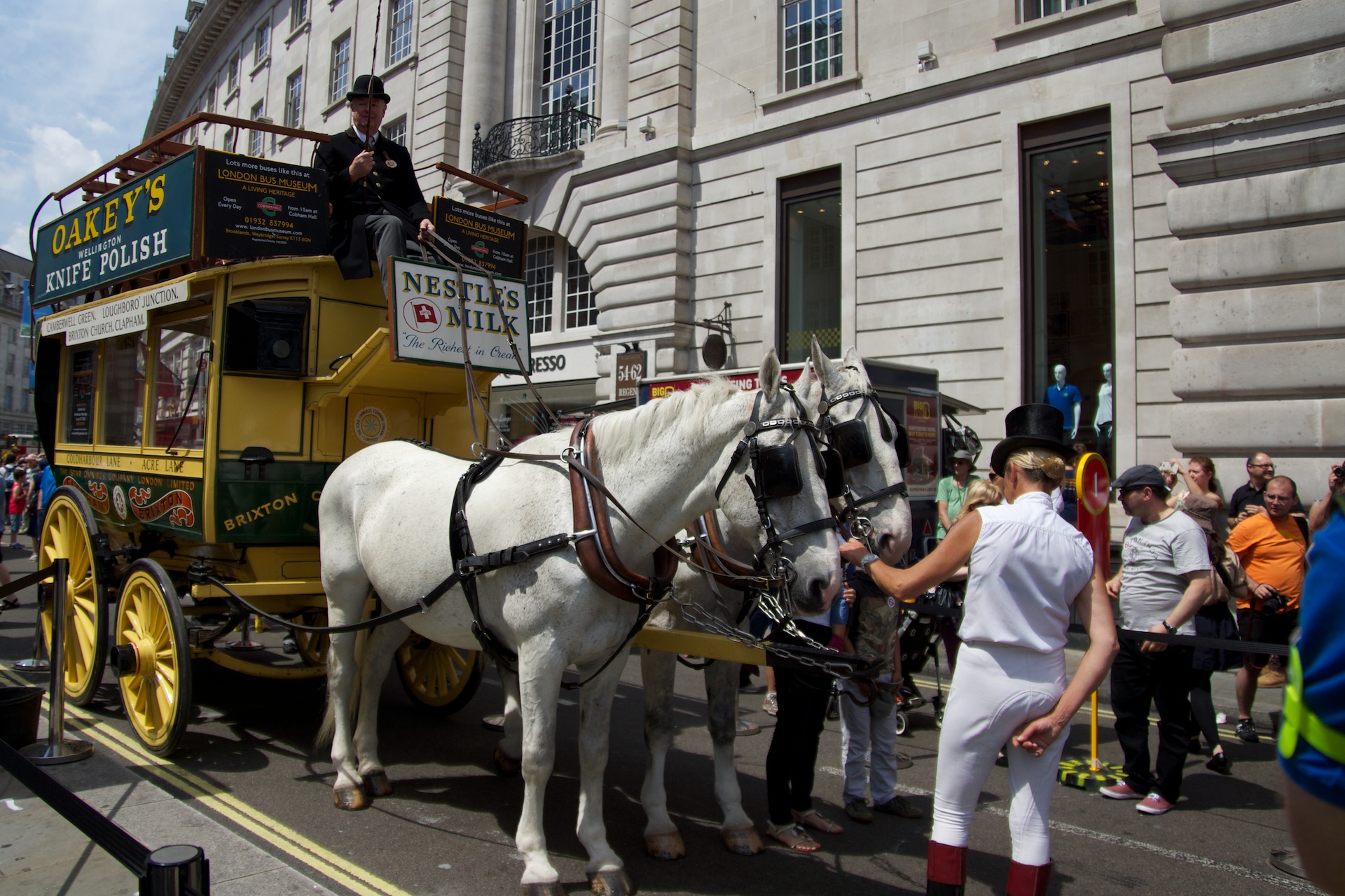 Автобусы до эрмитажа. Лошадь в автобусе. Horse Bus. Why the Chariot on the Bus.