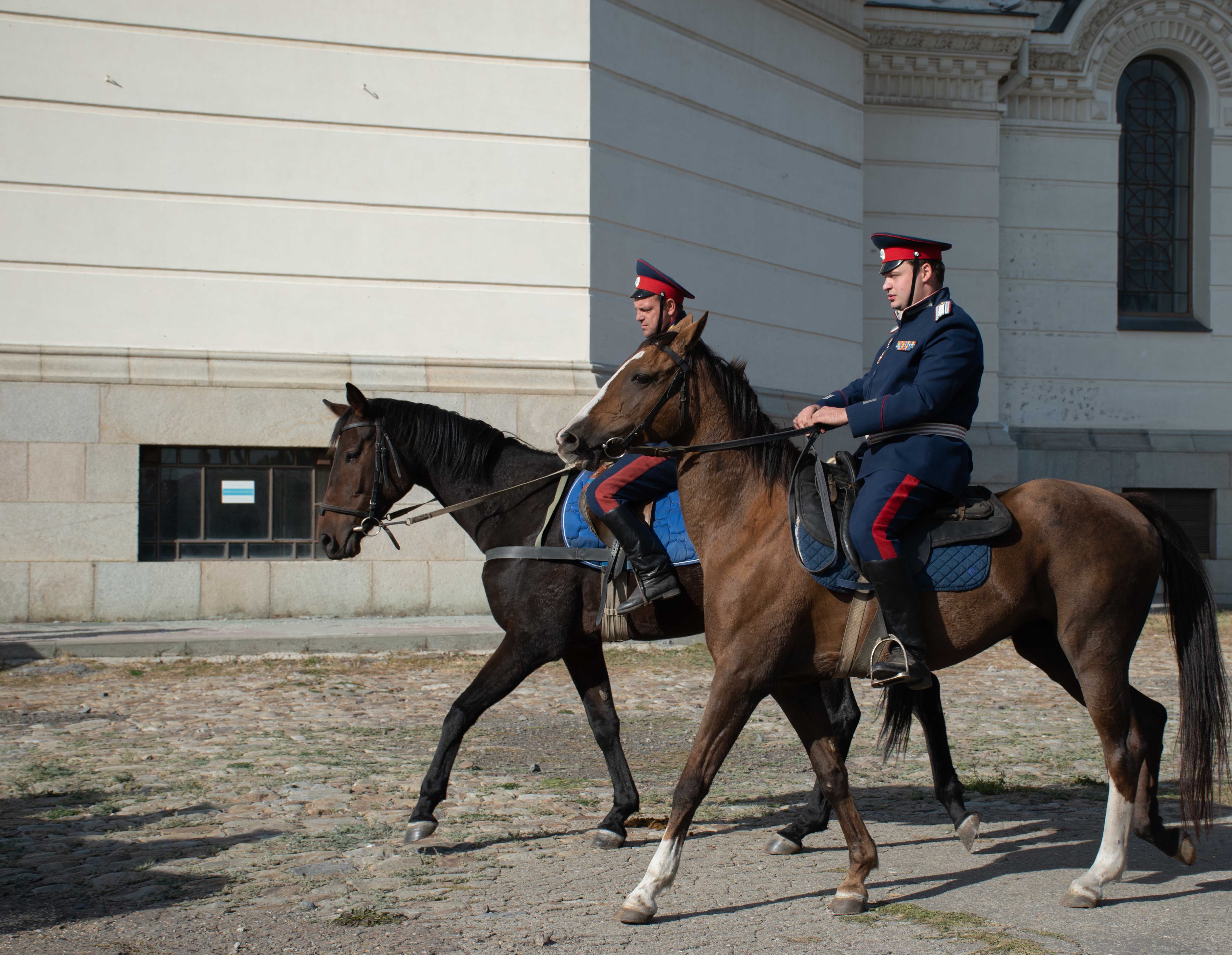 Cossack m650d