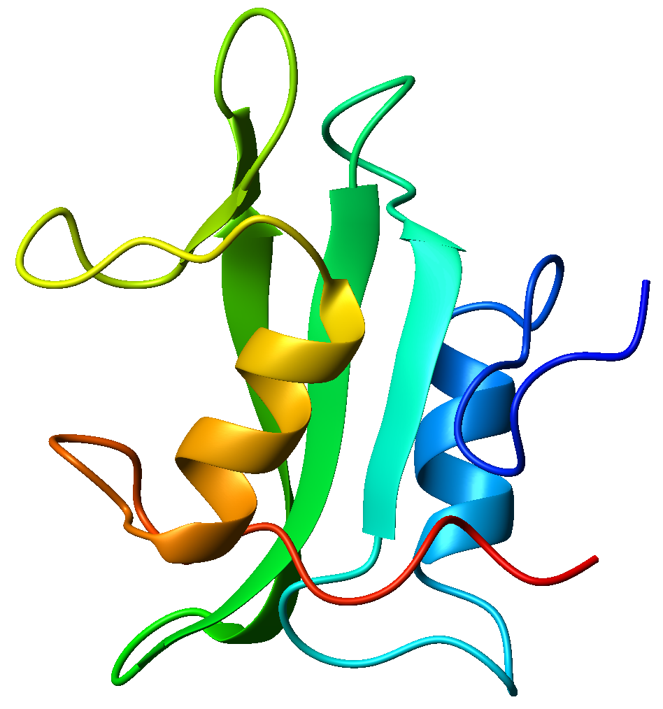 Beta sheet - Wikipedia