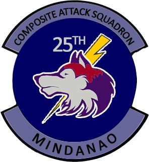 File:25th Composite Attack Squadron.jpg