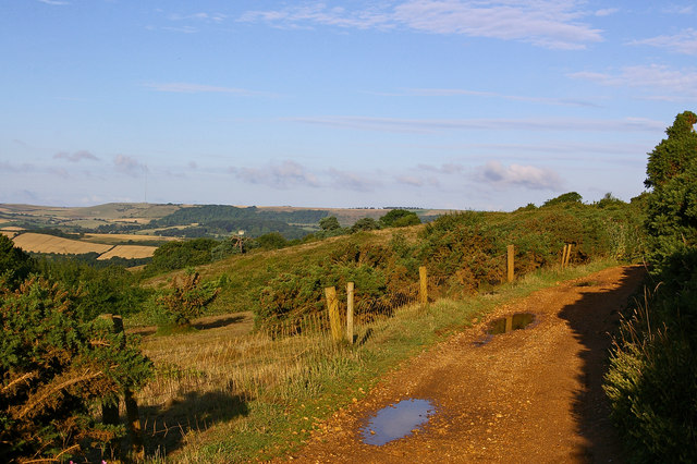 File:Bembridge Trail, St George's Down - geograph.org.uk - 1416169.jpg