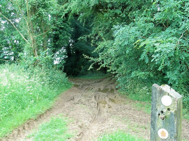 File:Byway and bridleway junction - geograph.org.uk - 463879.jpg