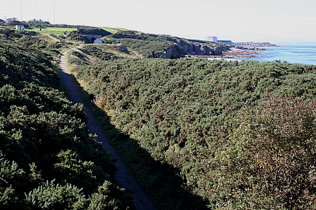 Coastal Route - geograph.org.uk - 2090024